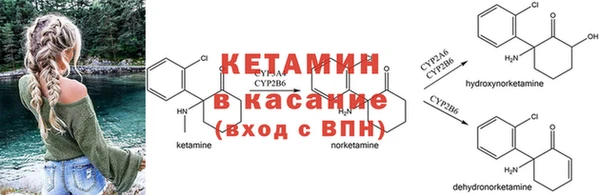 apvp Балахна