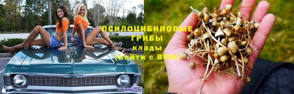 apvp Балахна